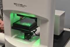 WhatsApp-Image-2026-02-10-at-12.53.17