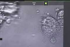 WhatsApp-Image-2026-02-10-at-12.55.54