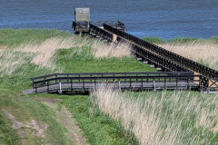 PXL_20260526_114133194