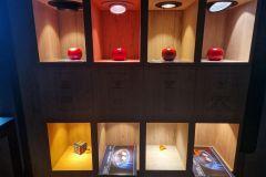 WhatsApp-Image-2026-03-12-at-17.38.29